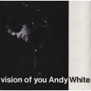 Vision Of You (1987) 12"/7" Single